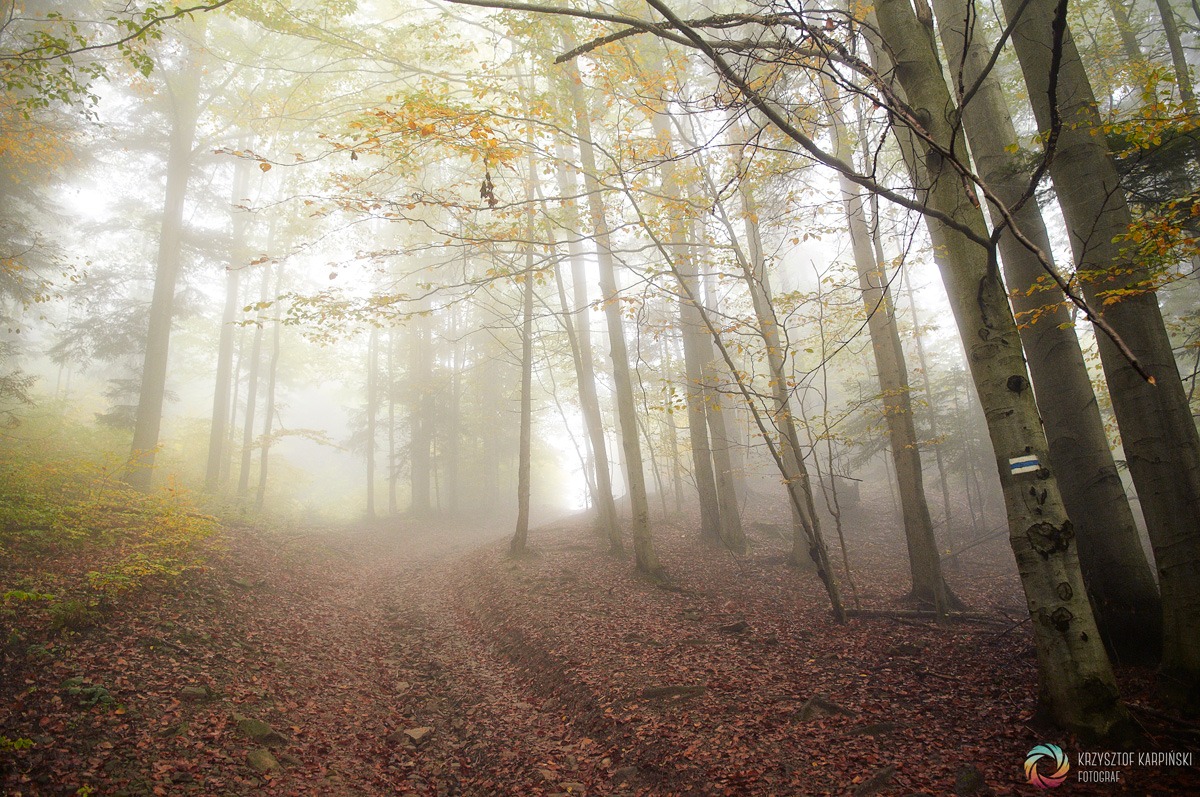 Beskid