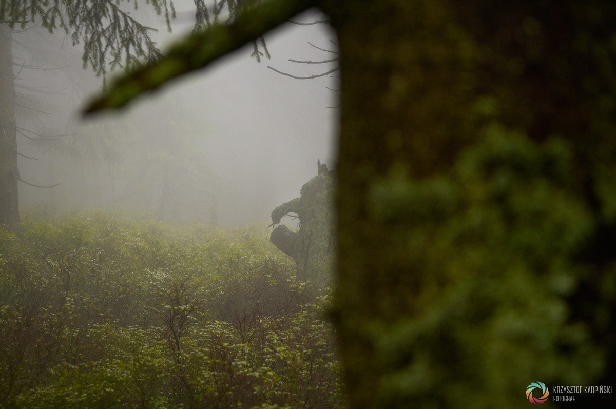 Beskid