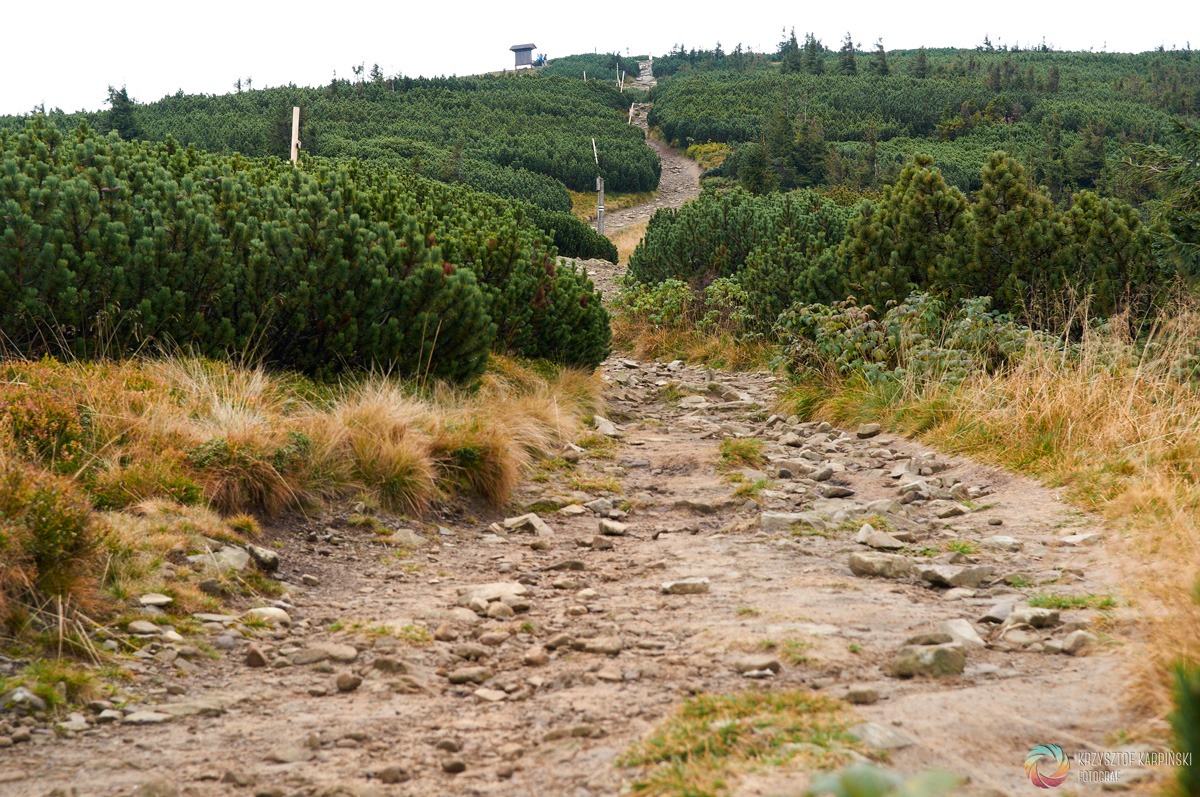 Beskid