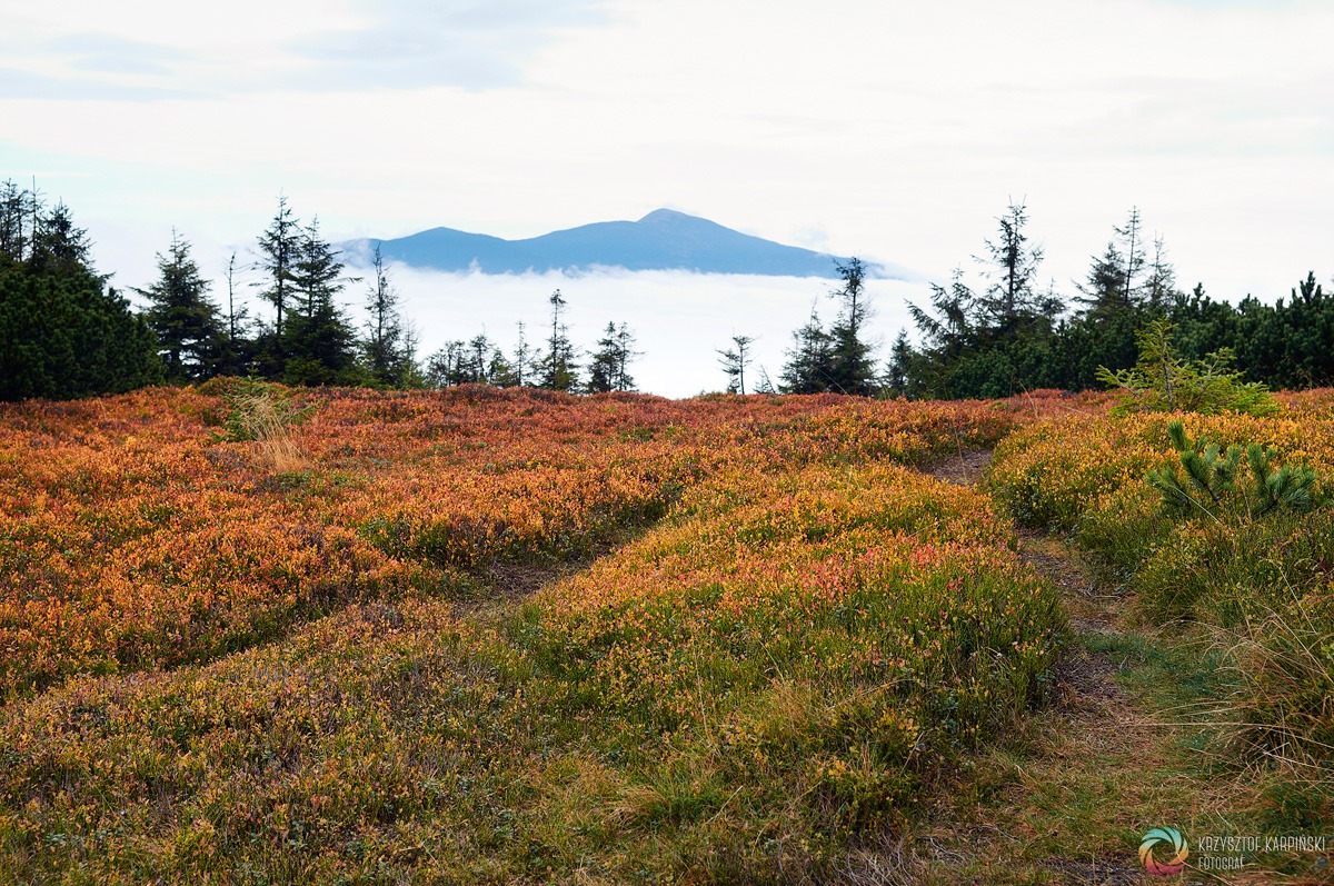 Beskid