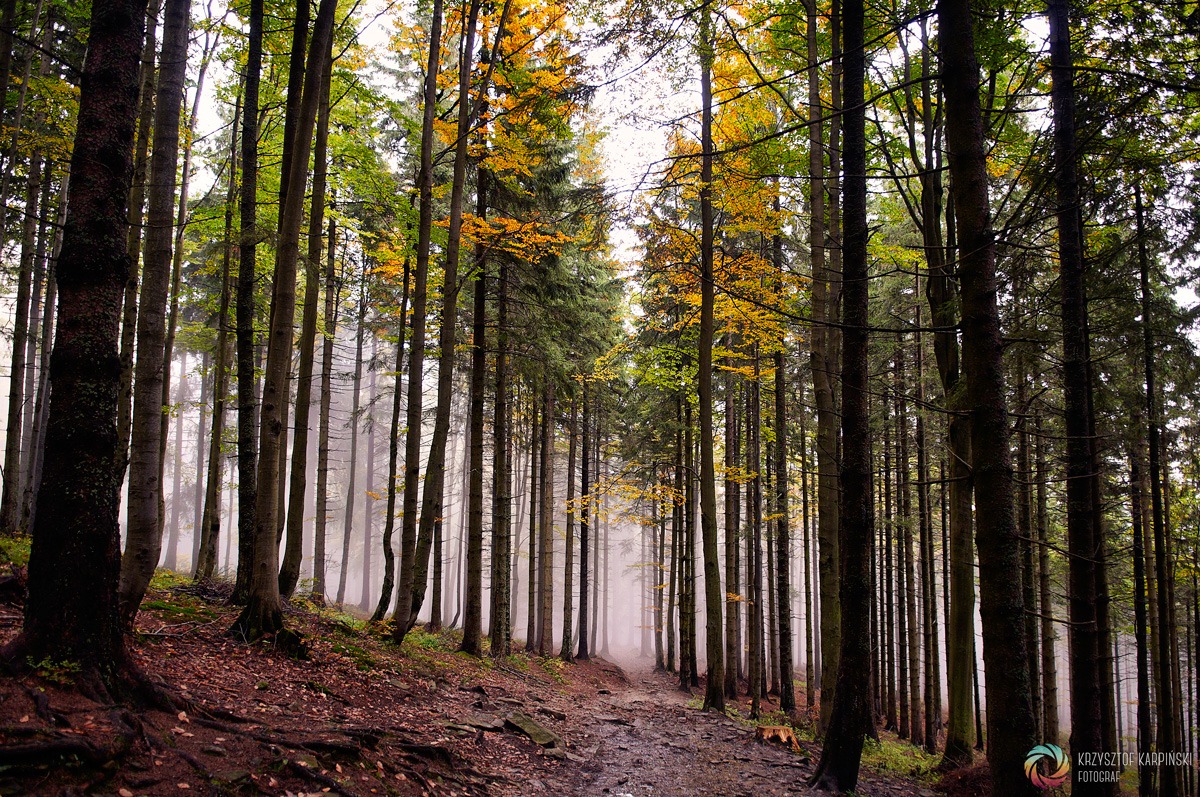 Beskid