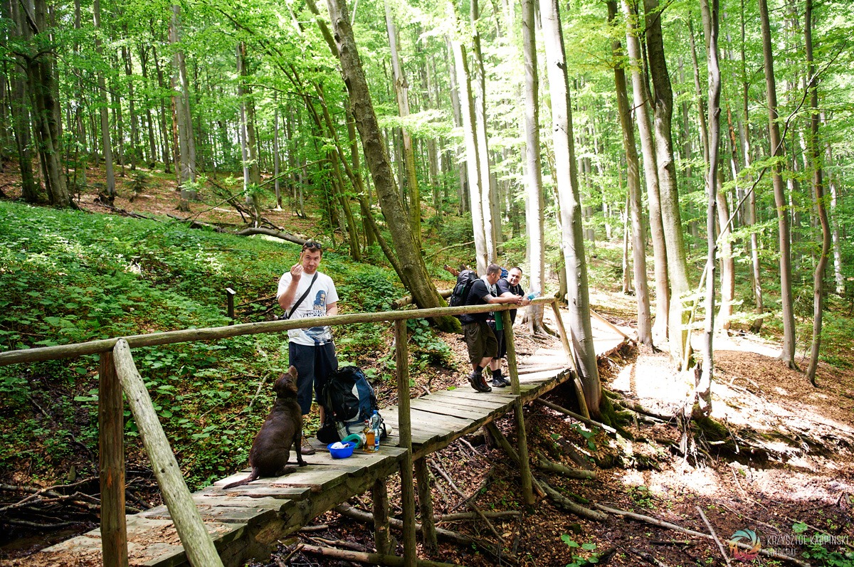 Bieszczady po raz drugi