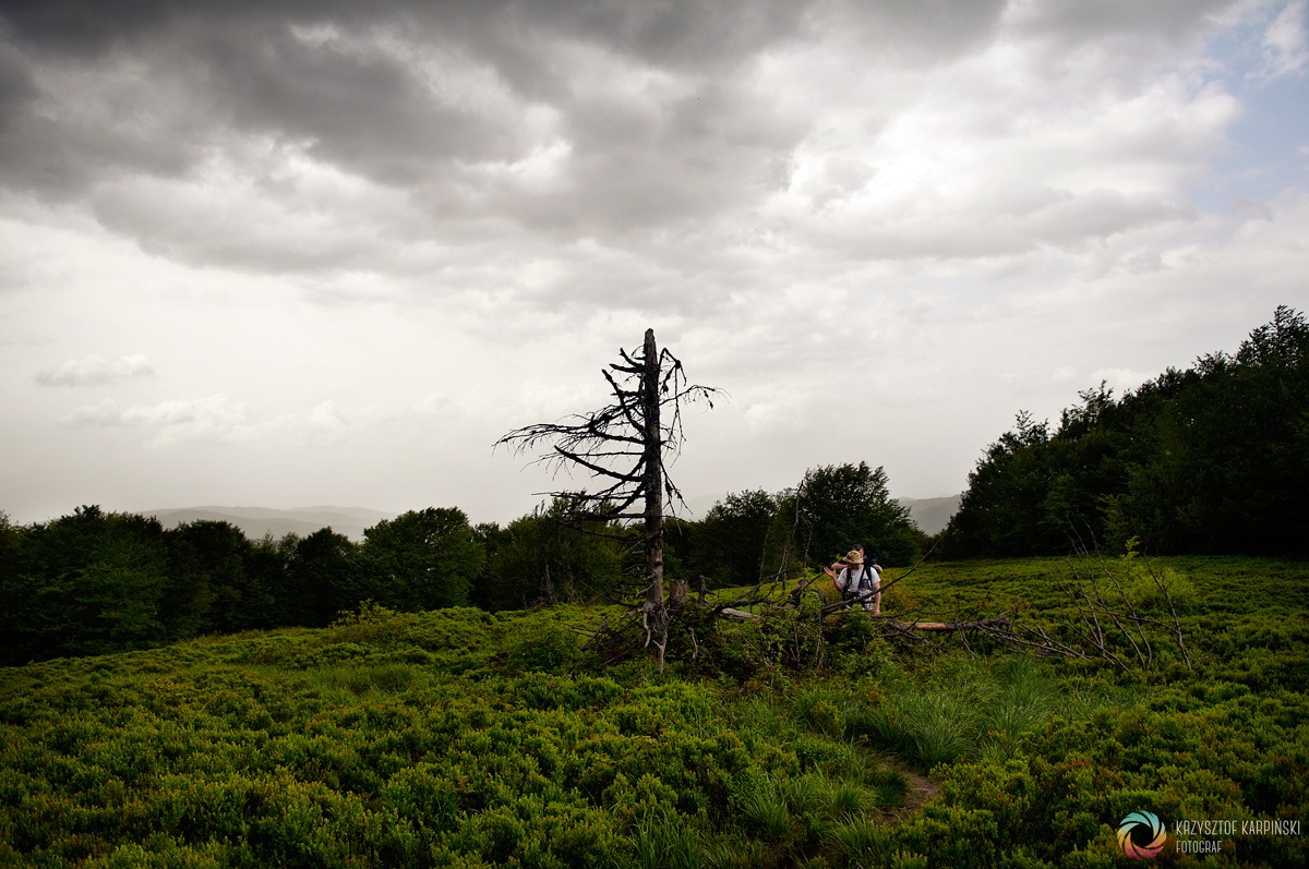 Bieszczady po raz drugi