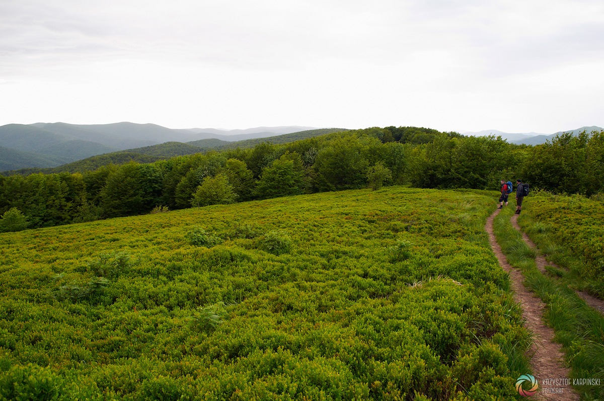 Bieszczady po raz drugi