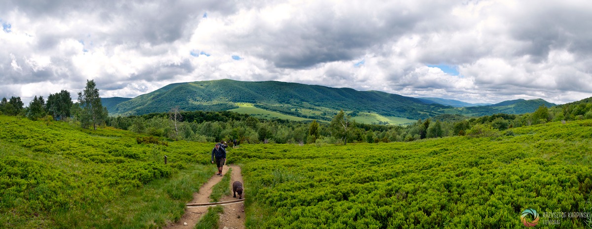 Bieszczady po raz drugi