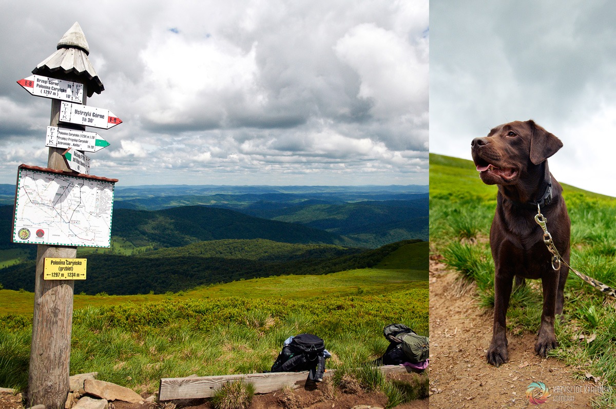 Bieszczady po raz drugi