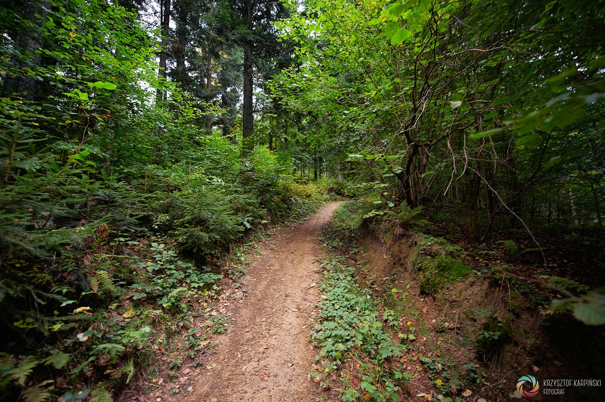 Bieszczady