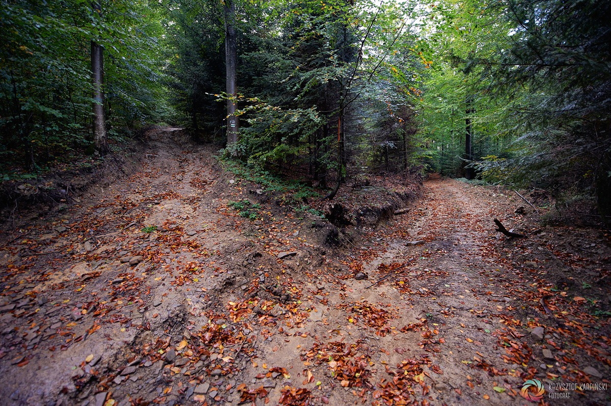 Bieszczady