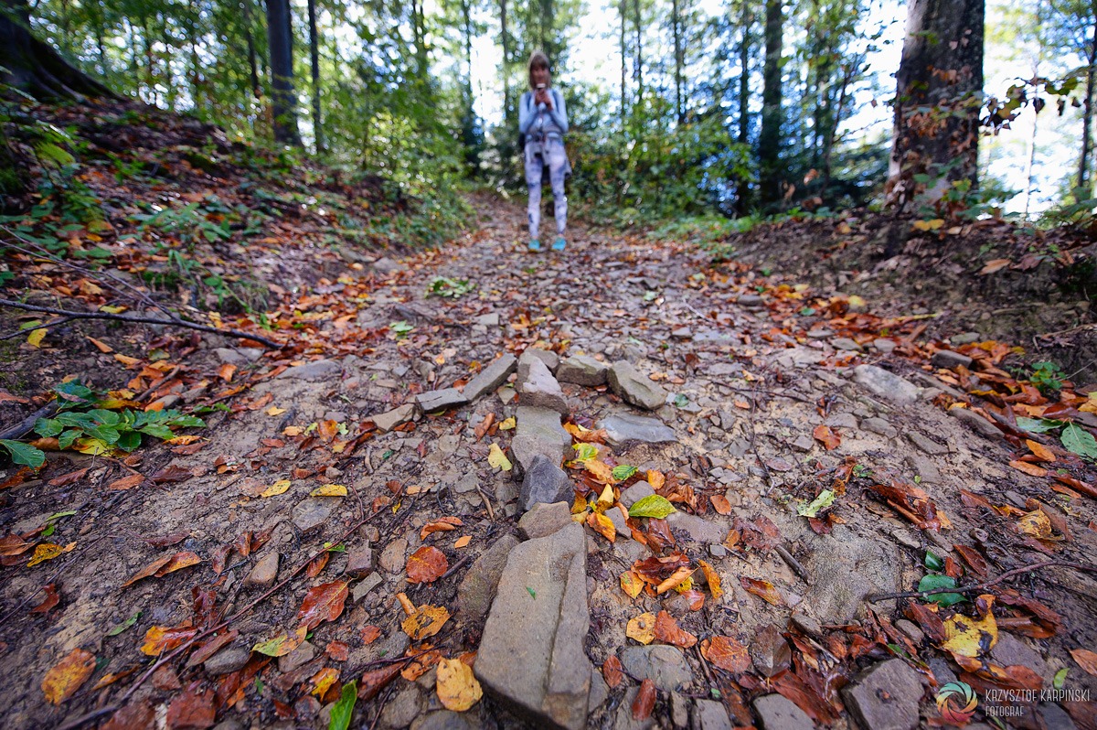 Bieszczady