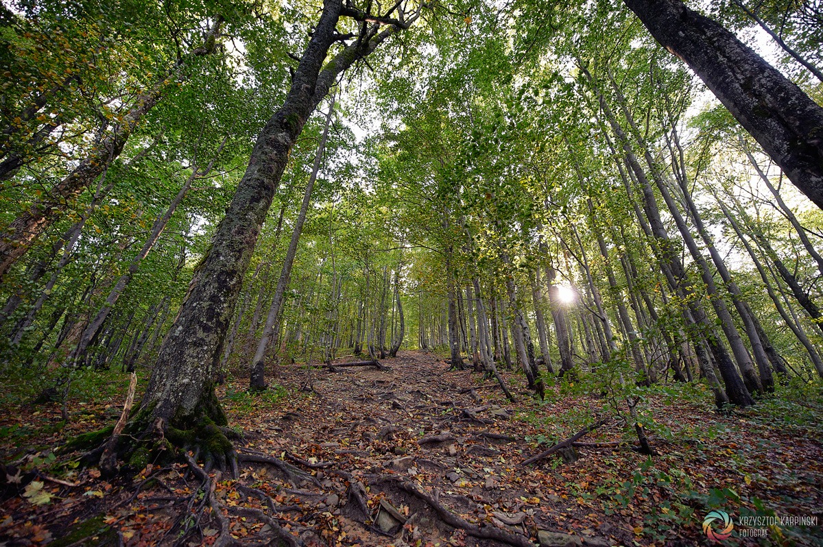 Bieszczady